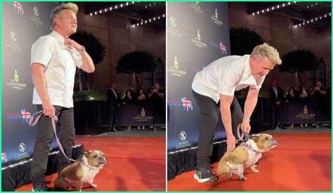 Does Gordon Ramsay Have Any Dogs?