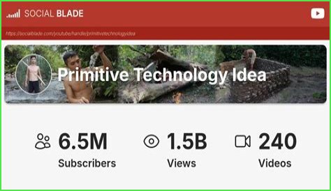 Primitive Technology Idea video statistics