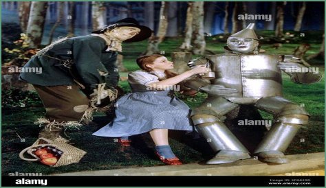 Who is Dorothy Petzold Dating Now?