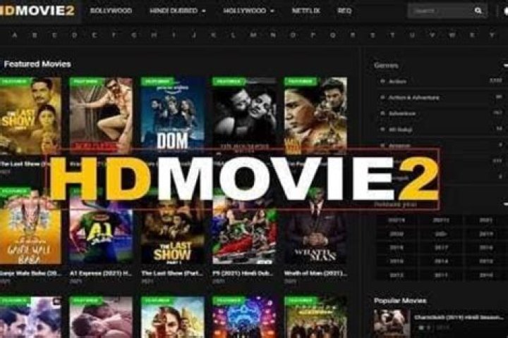 Alternatives to Hdmovie2: Where to Watch Movies & TV Shows?