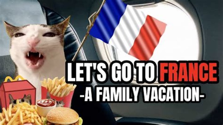 Best French Memes & Gifs: LOL with France Memes!