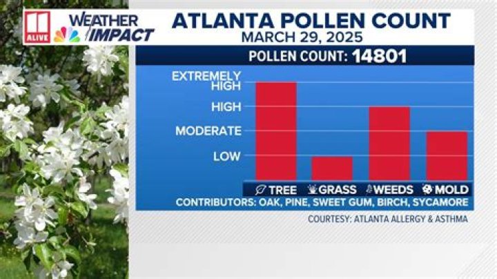Best Pollen Count Apps & Trackers for Allergies