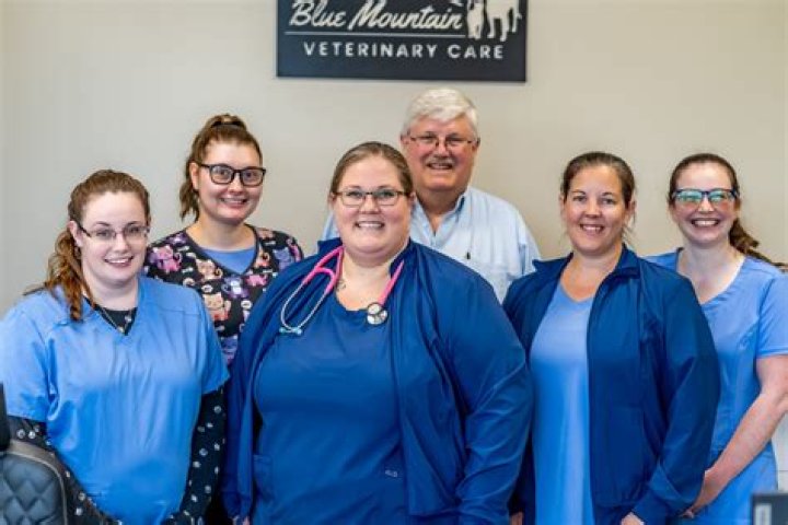 Best Vet Care in Piscataway, NJ | Top Clinic