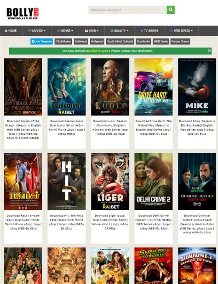 Bollyflix & Similar Sites: What You Need to Know Before You Stream