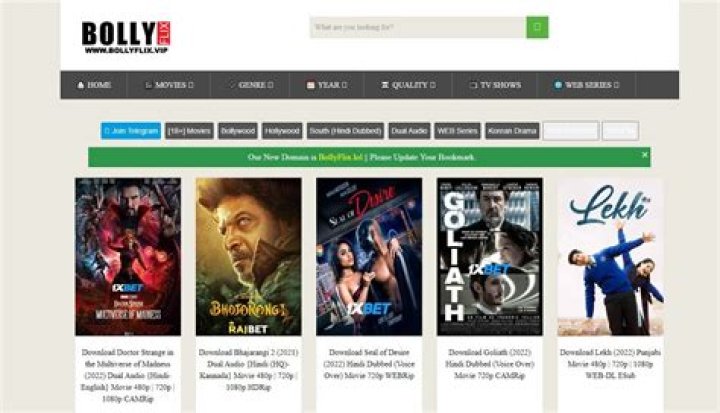 Bollywood Movies: Stream & Download Latest Releases | Bollyflix