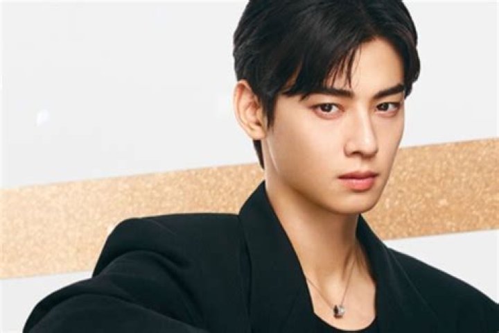 Cha Eun-woo's Net Worth: How Rich Is the Astro Star?