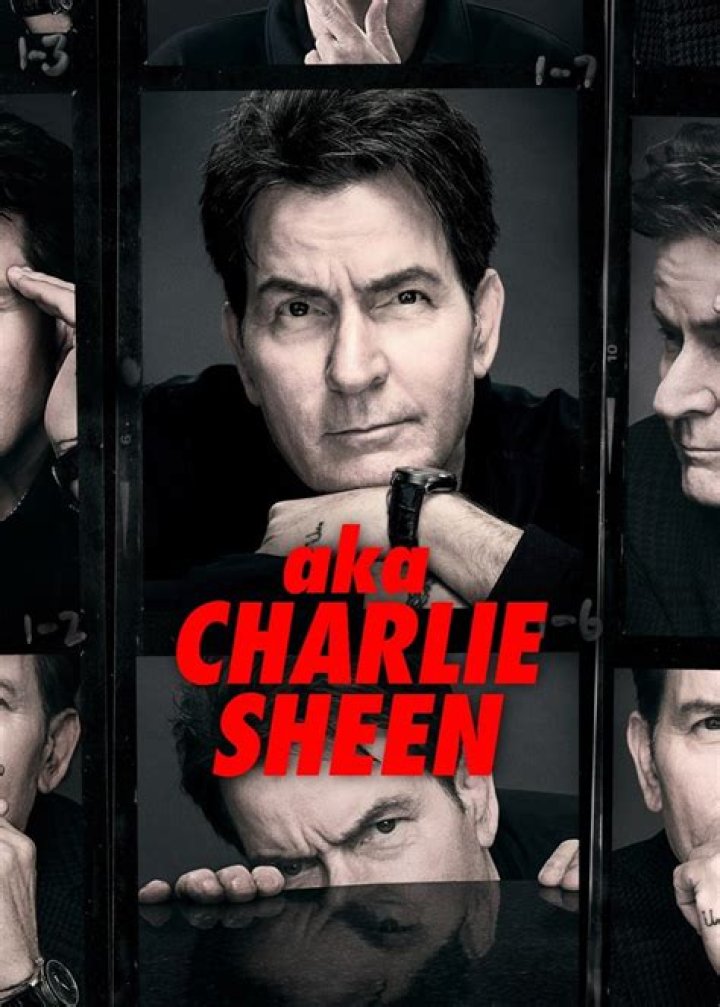 Charlie Sheen's Comeback: Sobriety, New Shows & More!