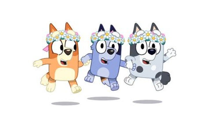 Discover the Fun World of Bluey!