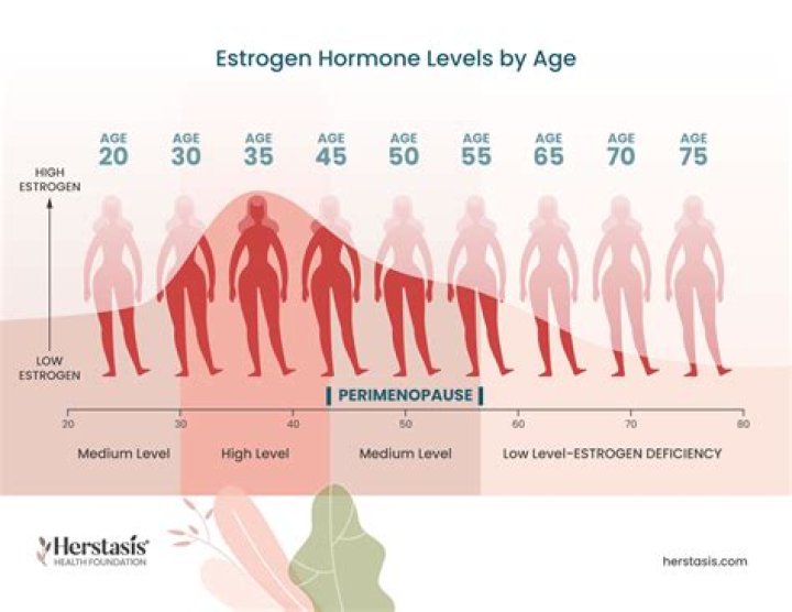 Estrogen Hormone Therapy: Your Guide & Journey | Start Here