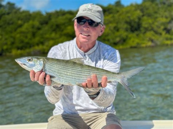 Fishing with Steven Evans: Tips & Charters