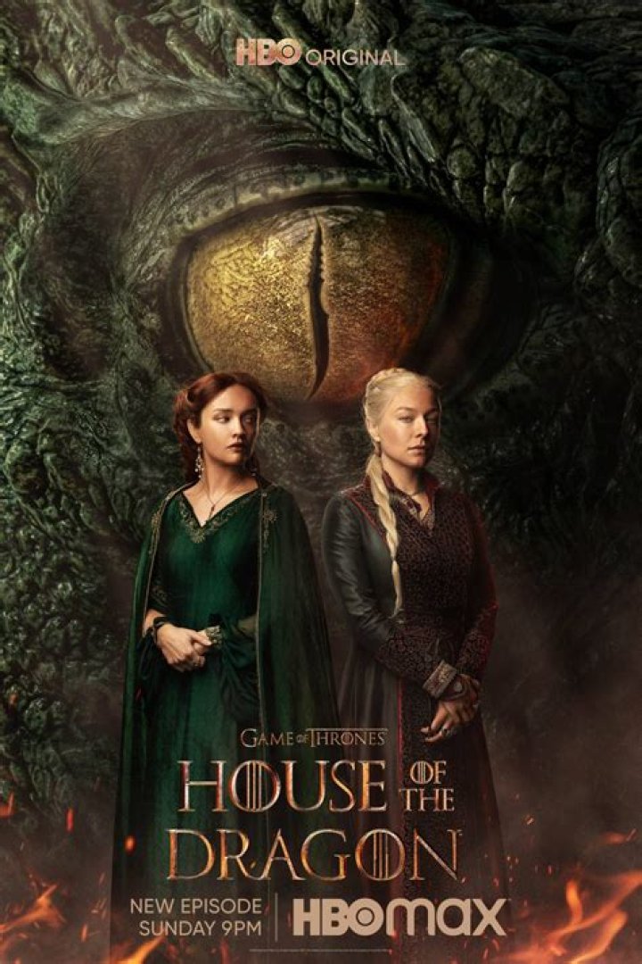 House of the Dragon Dragons: Riders & History