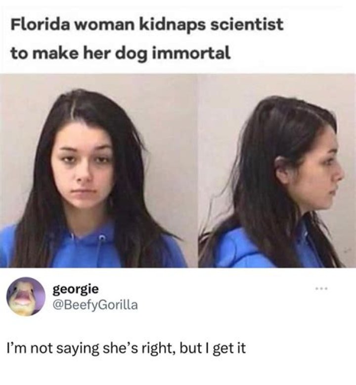 "I Can Fix Her" Meme: Origins, Meaning & Funny Examples | Google Discover