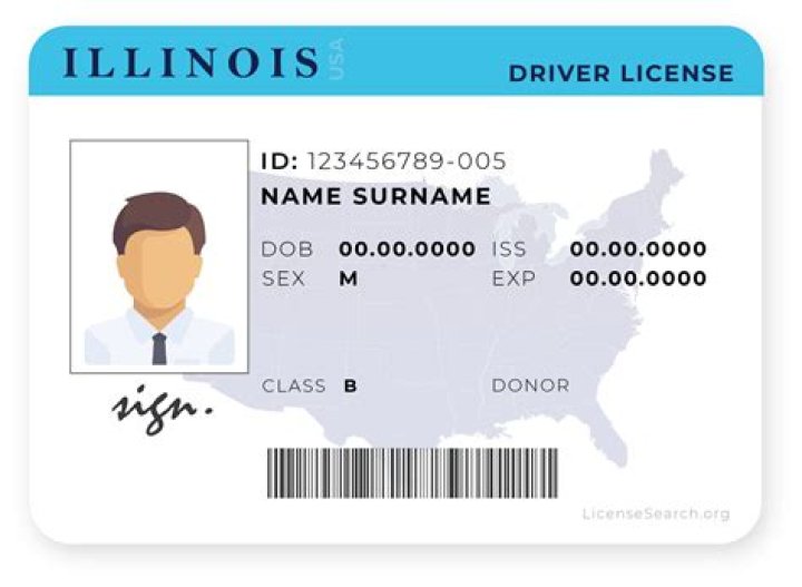 Illinois License Lookup & Regulations: IDPFR & IDPH Info
