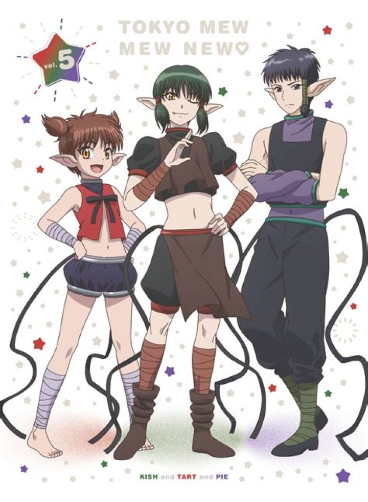 Insights Into The Late Tokyo Mew Mew Artist