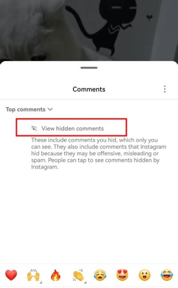 Instagram Comments Hidden? Here's Why & How to Fix It!
