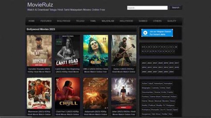 Movierulz: Risks & Alternatives to Streaming Movies Online