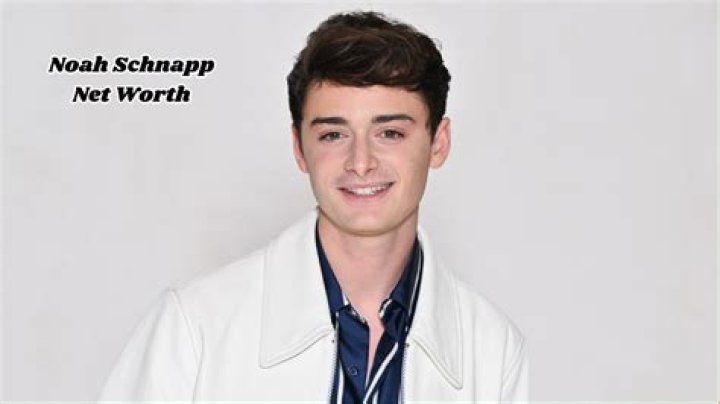 Noah Schnapp's Net Worth, Bio, Wiki, And Age Revealed
