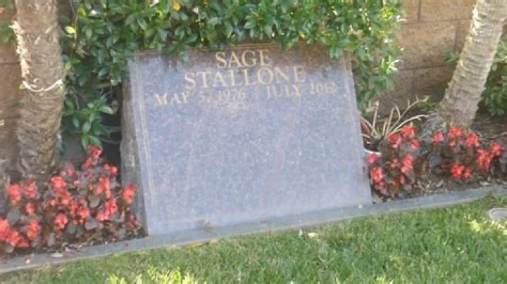 Remembering Sage Stallone: A Legacy Cut Short