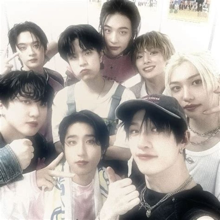 Stray Kids' I.N: Maknae's Age, Birthday & More!