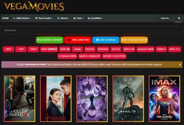 Stream Movies & Shows: Vegamovies Alternatives