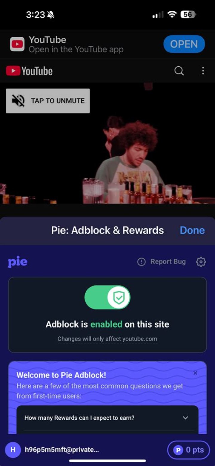 The Pie Adblock Girl: Meme Phenomenon