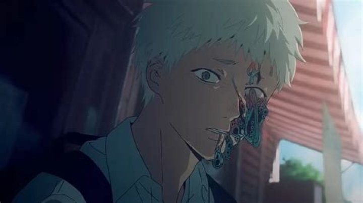 The Rise of Hikaru Nagi in Entertainment