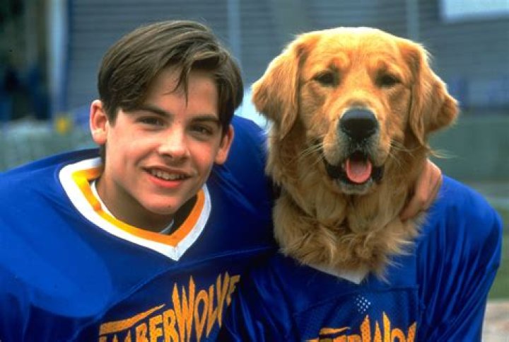 Top Kevin Zegers Movies and Shows