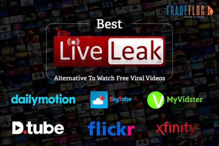 Top Liveleak Alternatives in 2025: Uncensored Video Guide