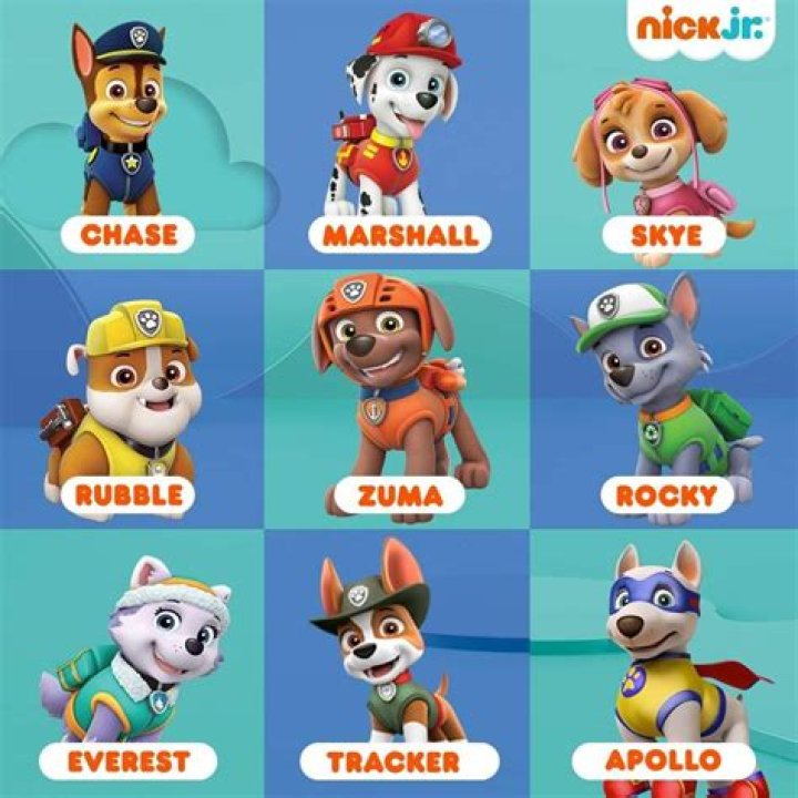 Top Paw Patrol Names: Characters, Pups & More