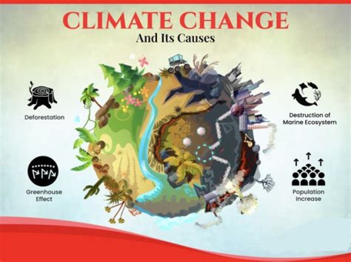 Uncover Its Causes And Impact