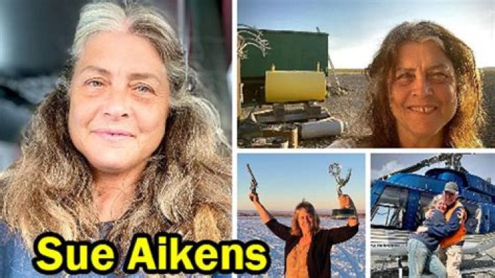 Unveiling Sue Aikens' Net Worth: Discoveries And Insights