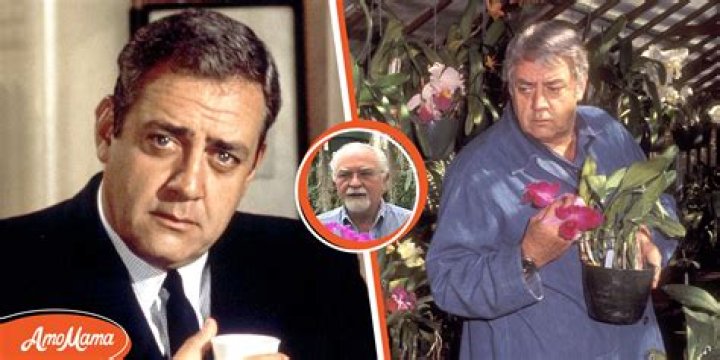 Unveiling the Untold Story: Robert Benevides & Raymond Burr's Love