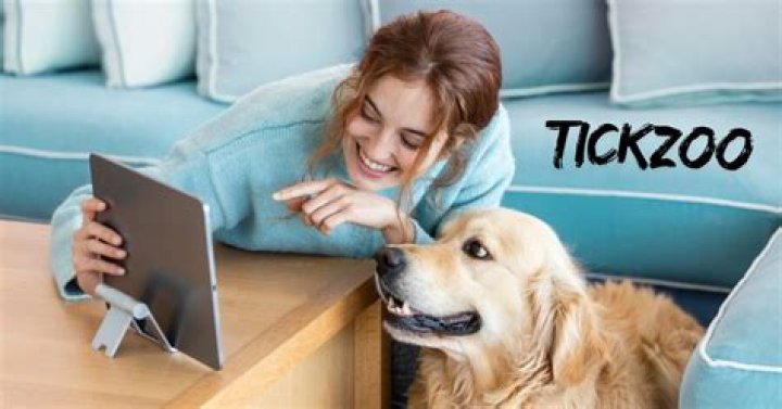 Unveiling Tickzoo: Explore the Enigma & Uncover Its Secrets