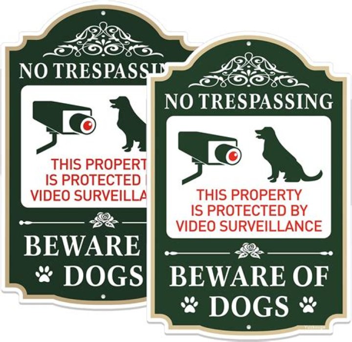 Warning: Beware of DDRMovies & Similar Sites! Risks & Alternatives
