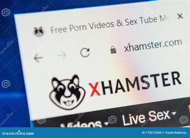 Watch Free Porn Videos | Xhamster