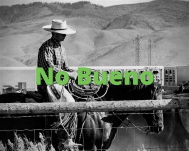 What Does "No Bueno" Mean? | Usage & Examples